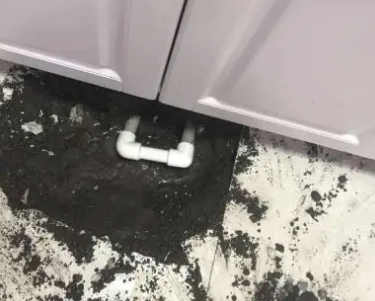 昌图查漏水哪家好